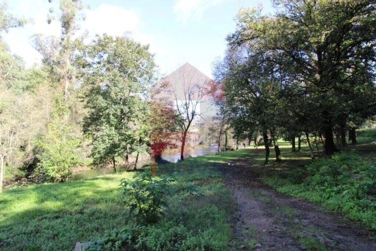Terreno para Venda em Souto Foto 46