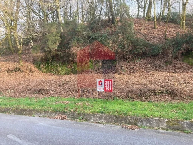 Terreno para Venda em Souto Foto 15