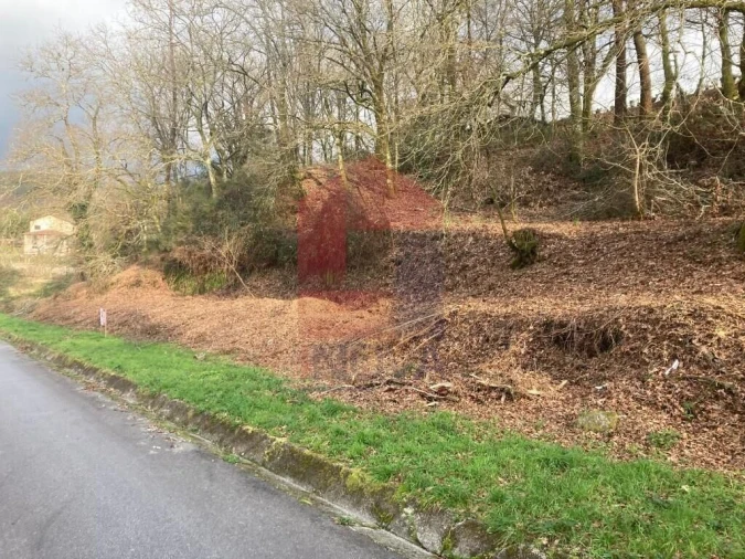 Terreno para Venda em Souto Foto 6