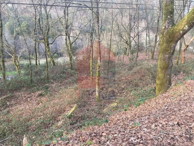 Terreno para Venda em Souto Foto 20
