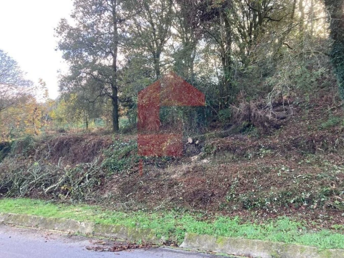 Terreno para Venda em Souto Foto 2