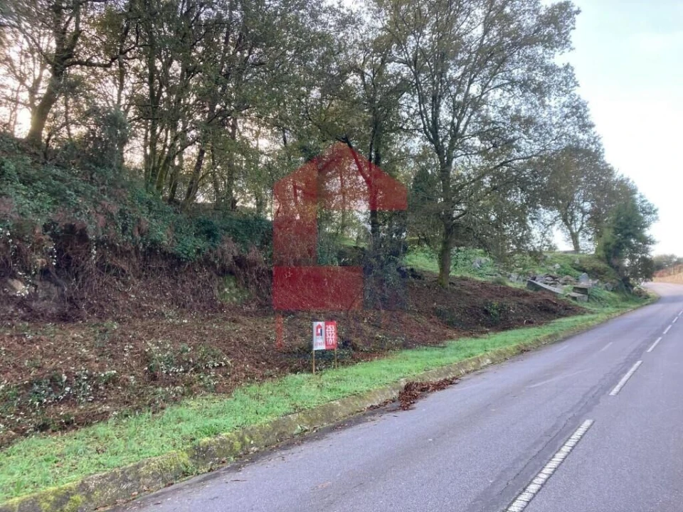 Terreno para Venda em Souto Foto 1