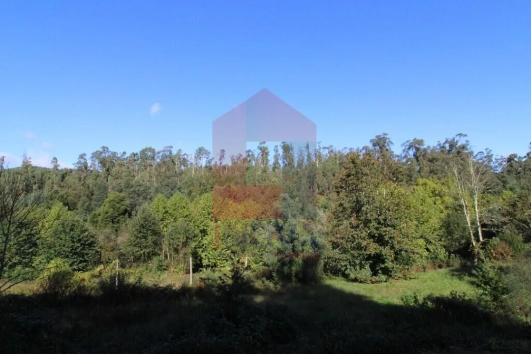 Terreno para Venda em Souto Foto 21