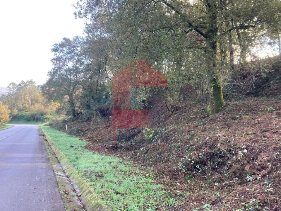 Terreno para Venda em Souto Foto 4