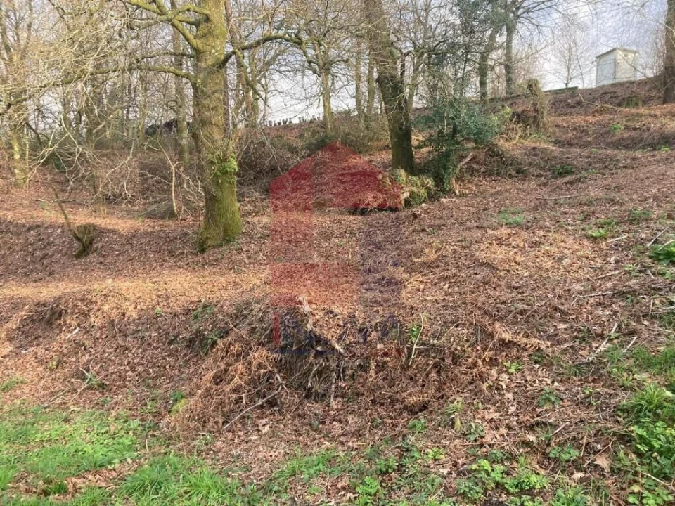 Terreno para Venda em Souto Foto 5