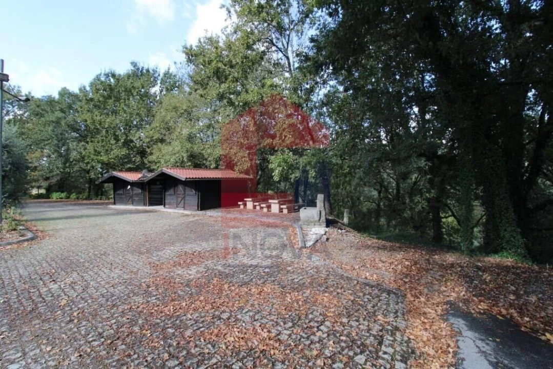 Terreno para Venda em Souto Foto 29