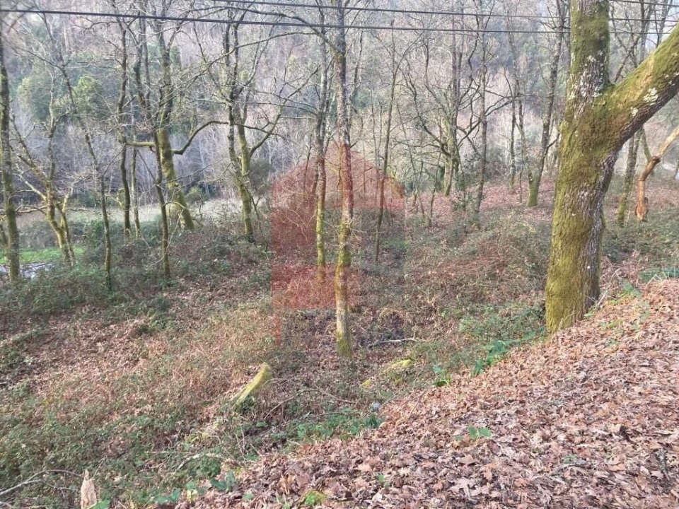Terreno para Venda em Souto Foto 20