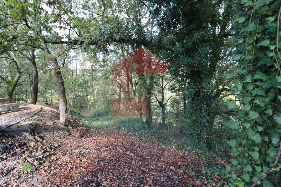 Terreno para Venda em Souto Foto 30