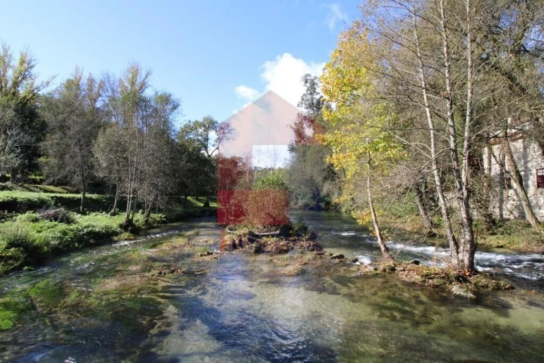 Terreno para Venda em Souto Foto 48