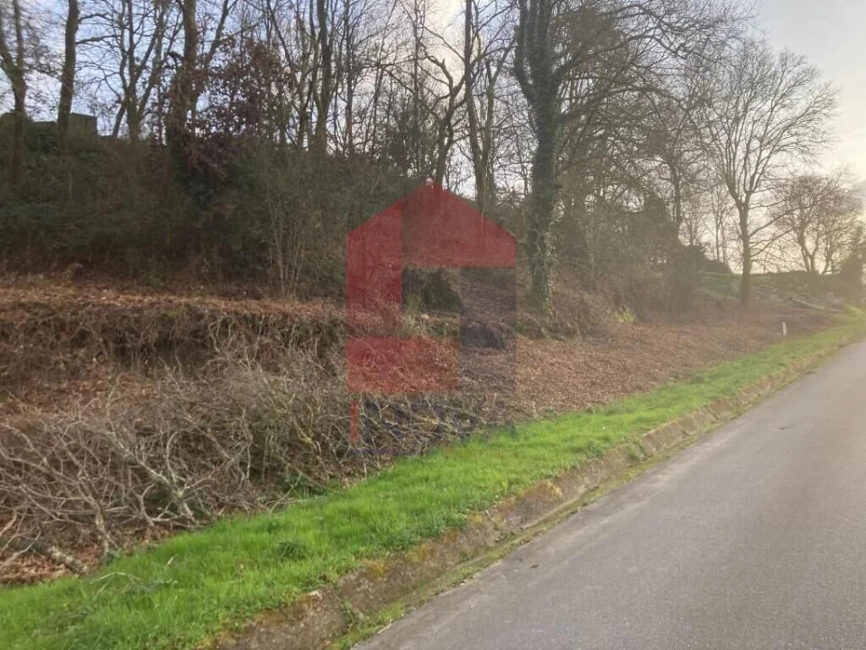 Terreno para Venda em Souto Foto 12