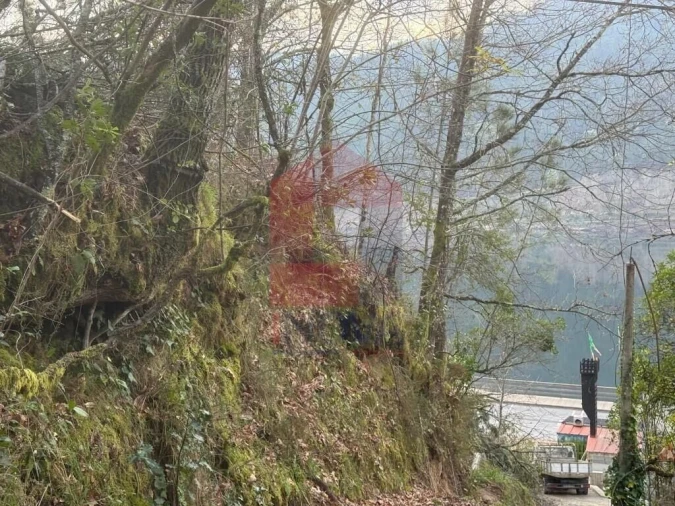 Terreno para Venda em Vilar da Veiga Foto 15