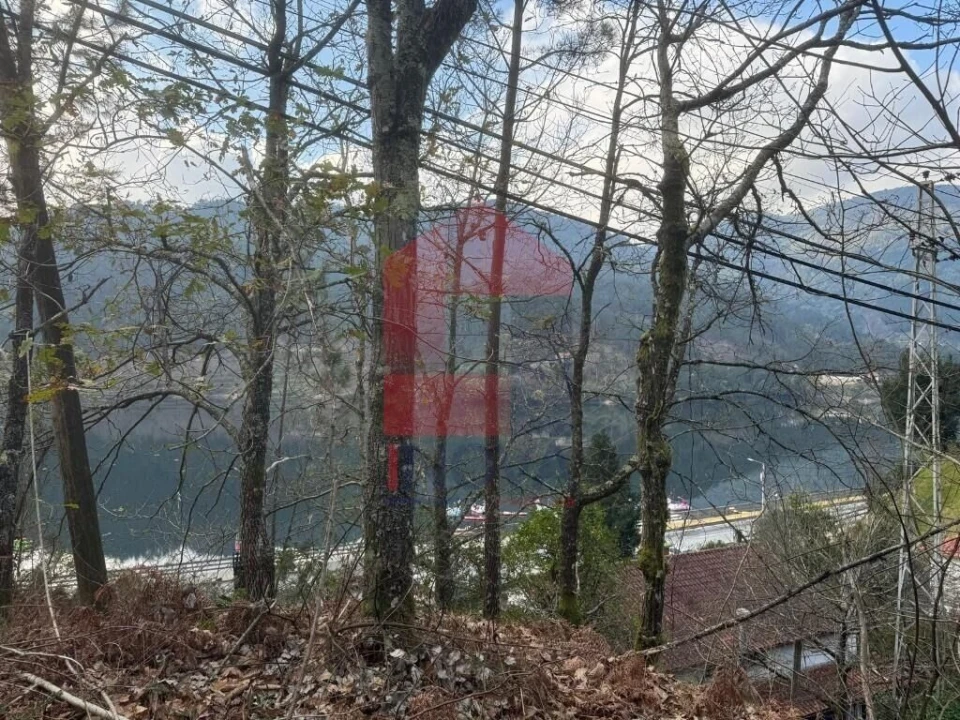 Terreno para Venda em Vilar da Veiga Foto 24
