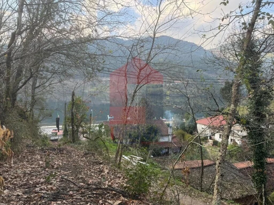 Terreno para Venda em Vilar da Veiga Foto 16