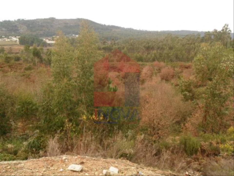 Terreno para Venda em Cervães Foto 3