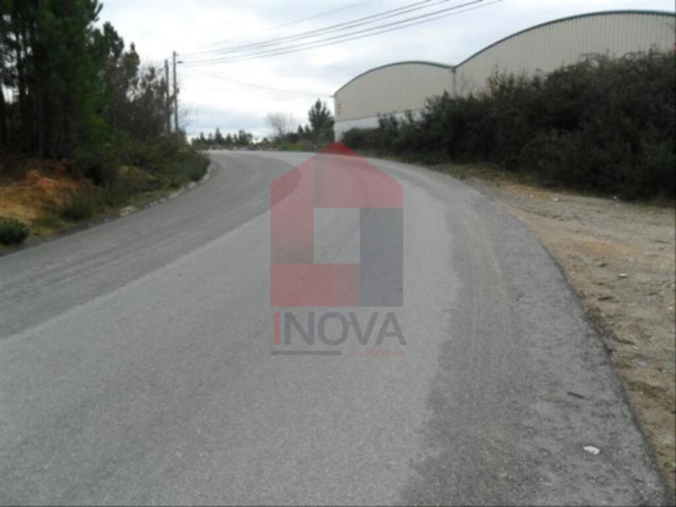 Terreno para Venda em Cervães Foto 6