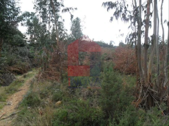 Terreno para Venda em Cervães Foto 1