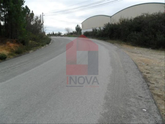 Terreno para Venda em Cervães Foto 6