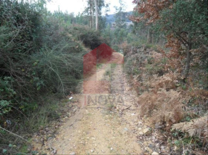 Terreno para Venda em Cervães Foto 5