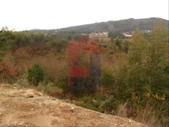 Terreno para Venda em Cervães Foto 2