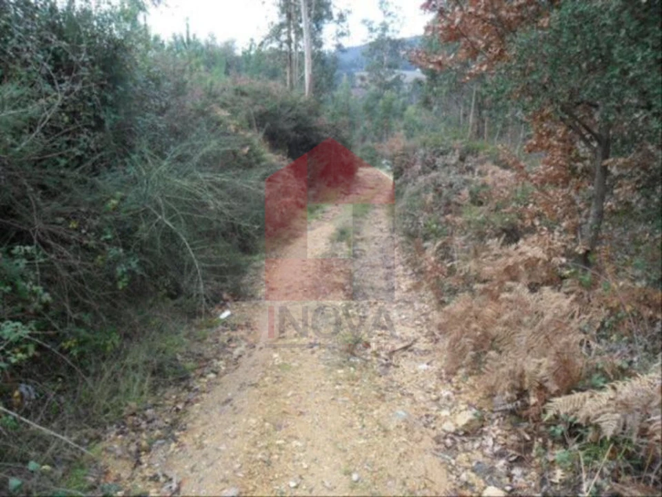 Terreno para Venda em Cervães Foto 5
