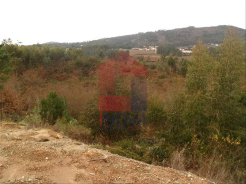 Terreno para Venda em Cervães Foto 2