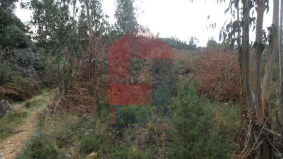 Terreno para Venda em Cervães