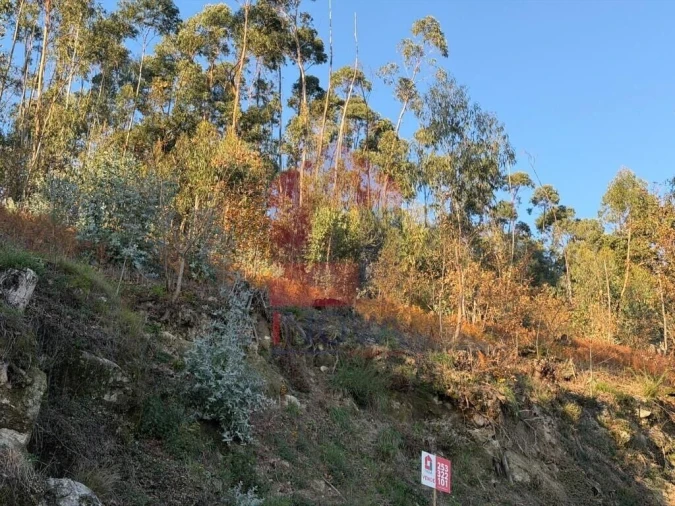 Terreno para Venda em Prado (São Miguel) Foto 7