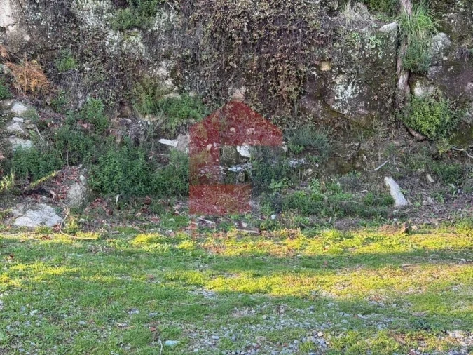 Terreno para Venda em Prado (São Miguel) Foto 11