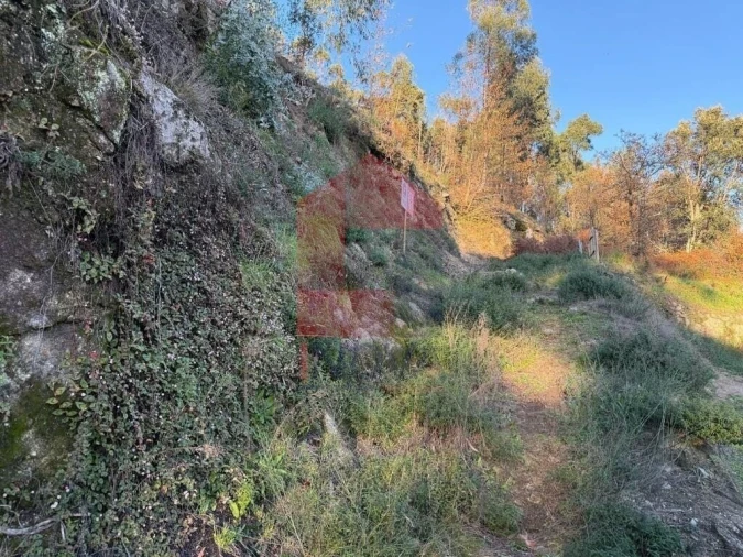 Terreno para Venda em Prado (São Miguel) Foto 3