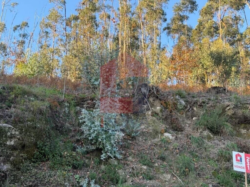 Terreno para Venda em Prado (São Miguel) Foto 8