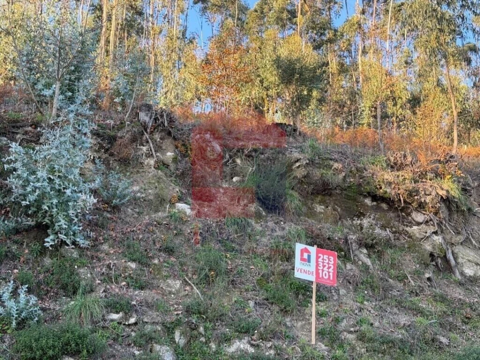 Terreno para Venda em Prado (São Miguel) Foto 9