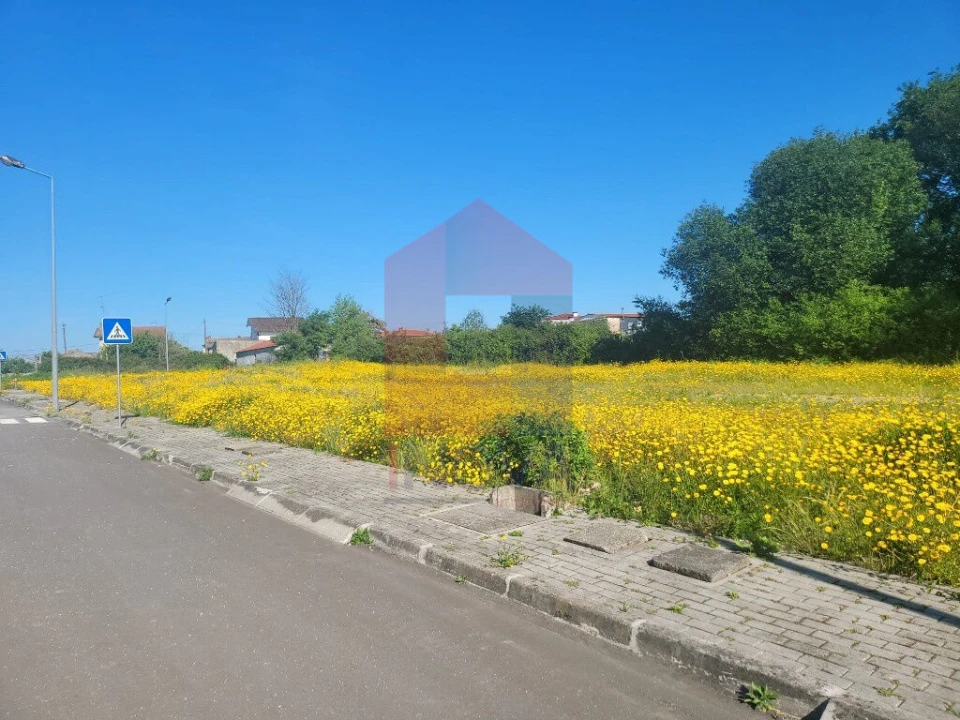 Terreno para Venda em Loureira Foto 5
