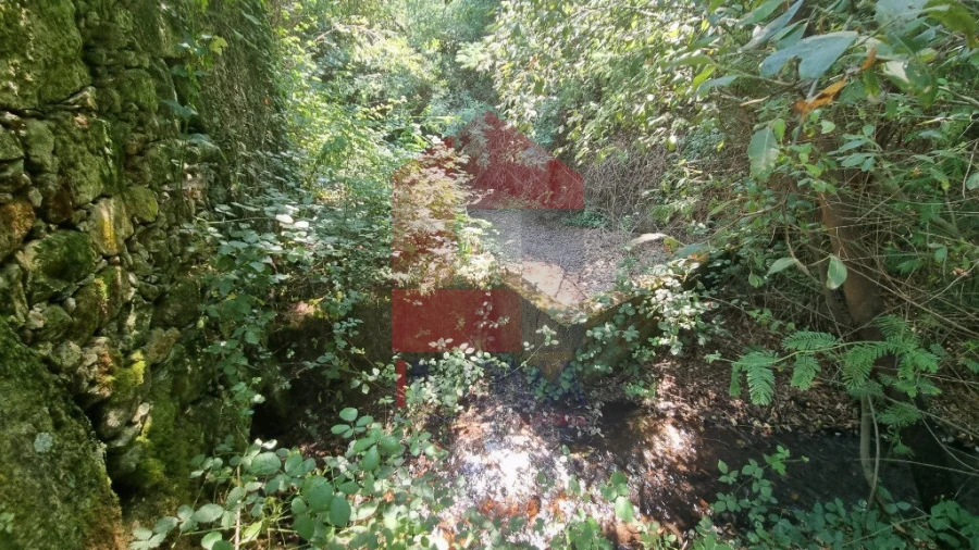 Moradia T0 para Venda em Romarigães Foto 7