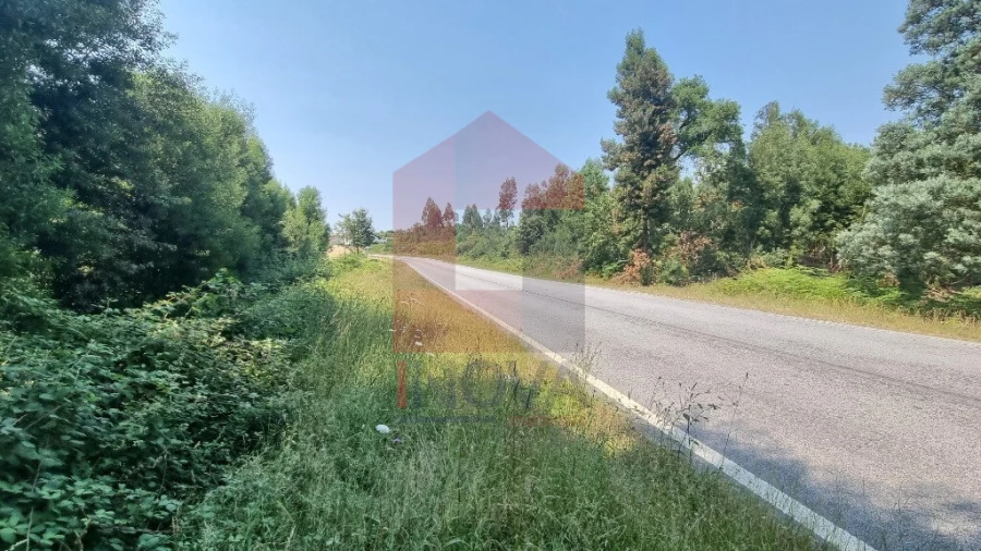 Moradia T0 para Venda em Romarigães Foto 11