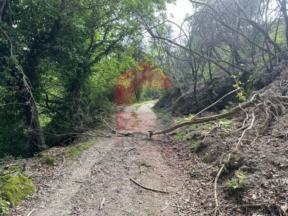 Terreno para Venda em Valdreu Foto 31