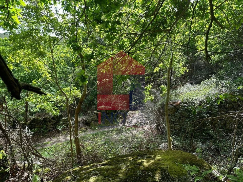 Terreno para Venda em Valdreu Foto 26