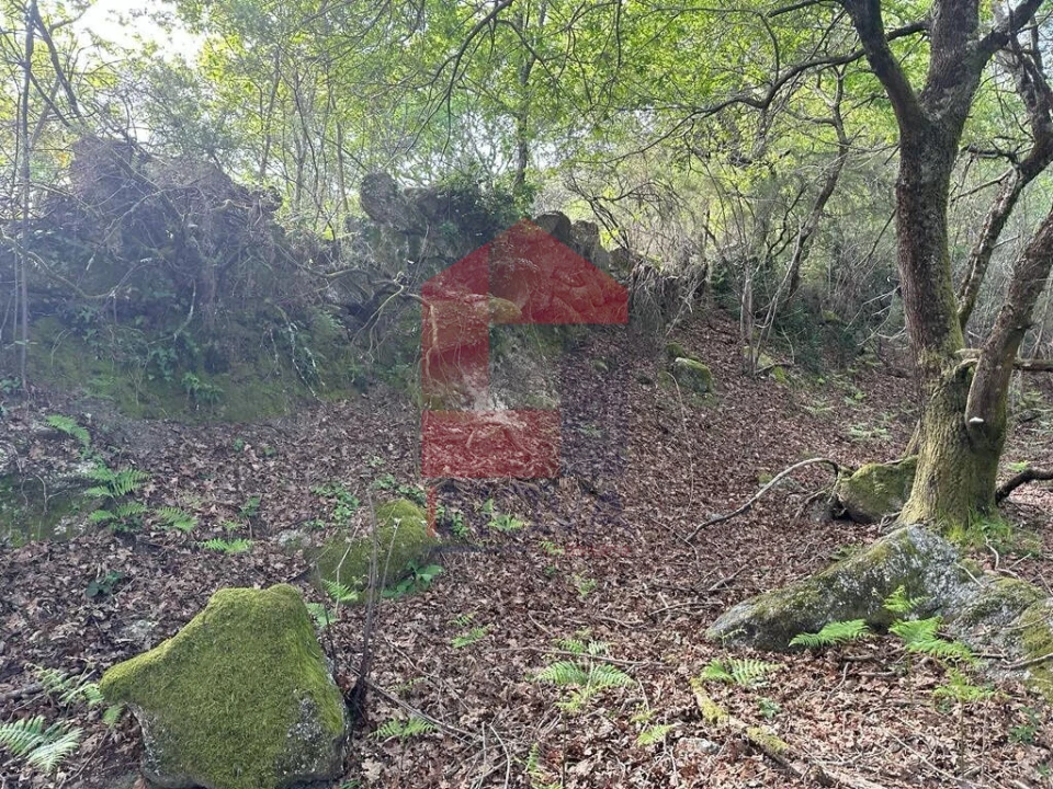 Terreno para Venda em Valdreu Foto 23