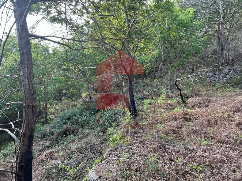 Terreno para Venda em Valdreu Foto 8