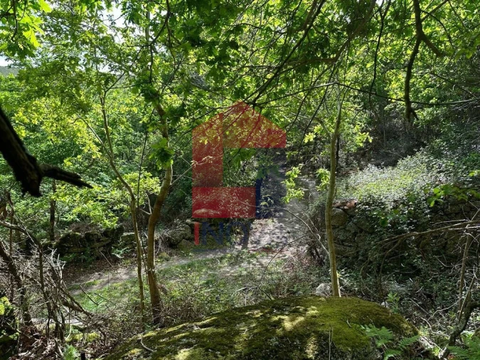 Terreno para Venda em Valdreu Foto 26