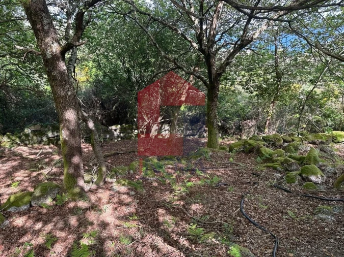 Terreno para Venda em Valdreu Foto 25