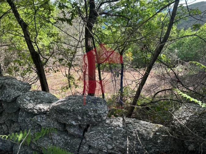 Terreno para Venda em Valdreu Foto 20