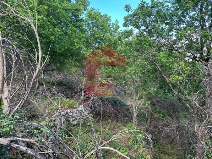 Terreno para Venda em Valdreu Foto 19