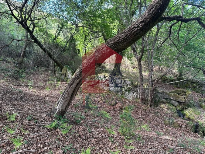 Terreno para Venda em Valdreu Foto 3