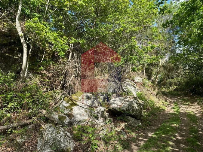 Terreno para Venda em Valdreu Foto 27