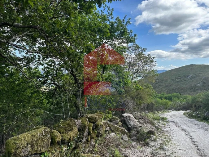 Terreno para Venda em Valdreu Foto 17