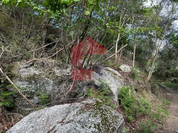 Terreno para Venda em Valdreu Foto 21