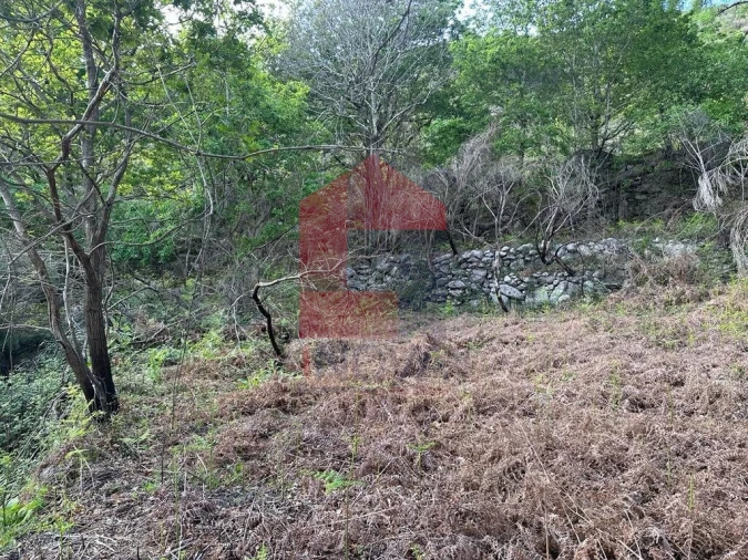 Terreno para Venda em Valdreu Foto 9