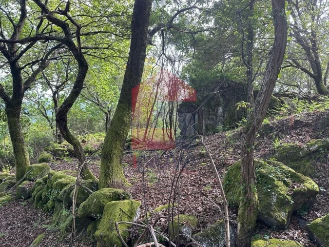 Terreno para Venda em Valdreu Foto 4