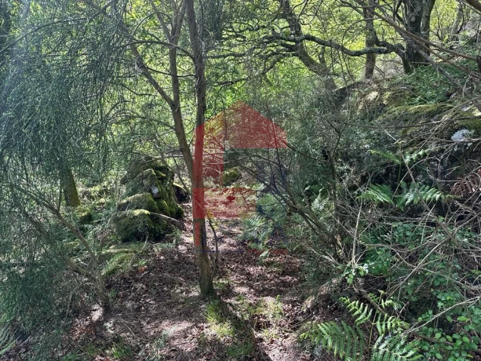 Terreno para Venda em Valdreu Foto 30