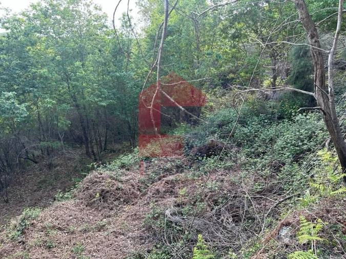 Terreno para Venda em Valdreu Foto 12